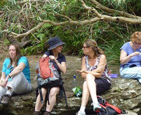 Dingo Tours - Attractions 1