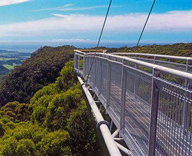 Dingo Tours - Attractions 4