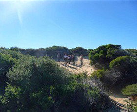 Dingo Tours - Attractions 7