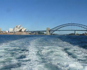 Oz Whale Watching - Attractions 5