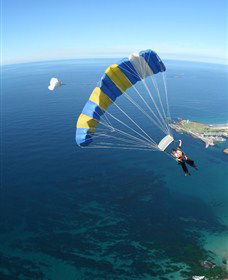 Skydive The Beach And Beyond Sydney - Wollongong - Attractions 6