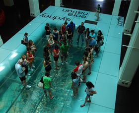 I'm Free Tours - Attractions 1