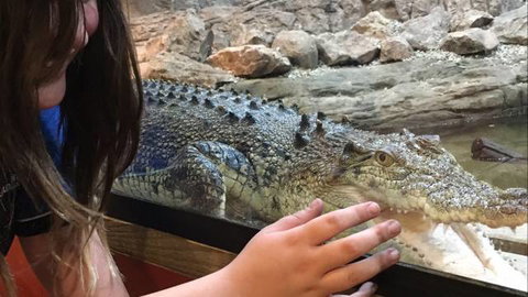 Canberra Reptile Zoo - Attractions 3