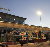 Bathurst Harness Racing Club - Attractions