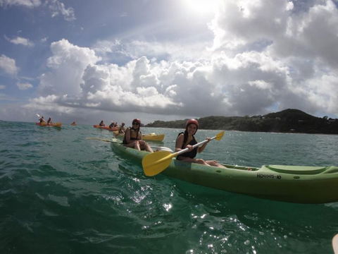 Cape Byron Kayaks - Attractions 3