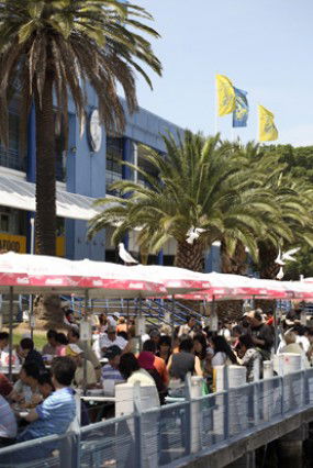 Sydneys Fish Market - Attractions 1