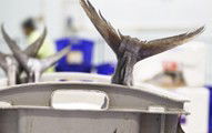 Sydneys Fish Market - Attractions 3