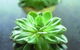 Crossroads Homemaker Centre - thumb 1