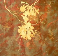 Fellia Melas Gallery - Attractions