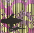 Iain Dawson Gallery - Attractions 2