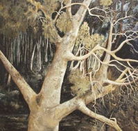 Ku-Ring-Gai Art Centre  Gallery - Attractions