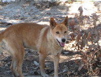 Book Byford Accommodation Vacations Attractions Attractions