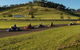 Picton Karting Track - thumb 1