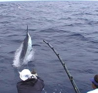 Amokura Charters - Attractions
