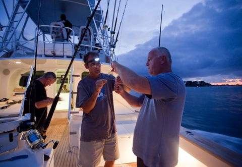 Amokura Charters - Attractions 1