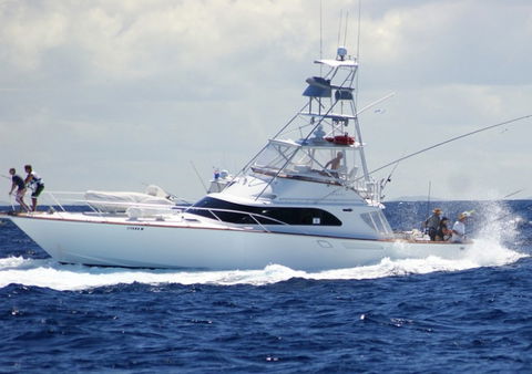 Amokura Charters - Attractions 2