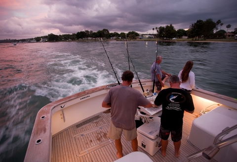 Amokura Charters - Attractions 3