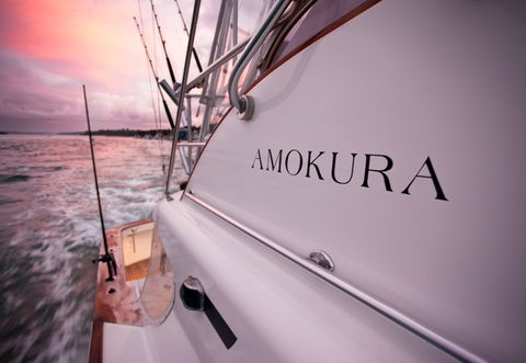 Amokura Charters - Attractions 4