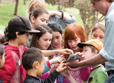 Blackbutt Reserve - Attractions 2