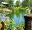 Gone Walkabout Safaris - Attractions