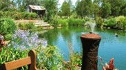 Gone Walkabout Safaris - Attractions 0