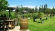 Gone Walkabout Safaris - Attractions 2