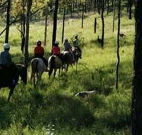 Hunter Valley Horse Riding and Adventures - Attractions