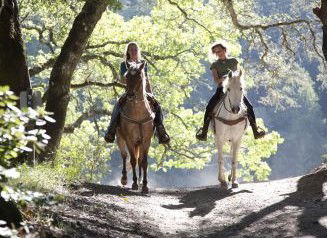 Hunter Valley Horse Riding And Adventures - Attractions 1