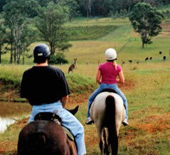 Hunter Valley Horse Riding And Adventures - Attractions 3