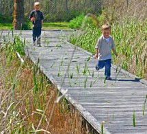 Hunter Wetlands Centre Australia - Attractions 1