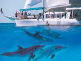 Imagine Cruises - Attractions 2