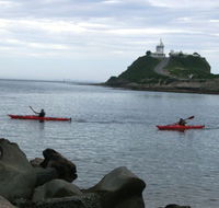 Newcastle Kayak Tours - Attractions