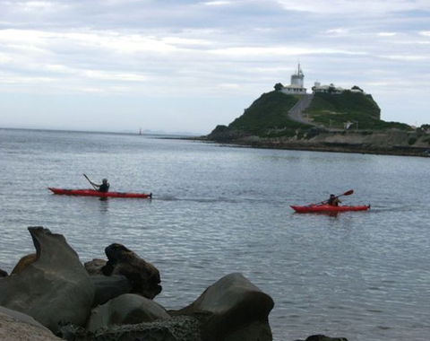 Newcastle Kayak Tours - Attractions 0