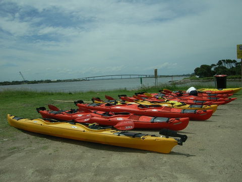 Newcastle Kayak Tours - Attractions 2