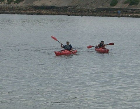 Newcastle Kayak Tours - Attractions 4