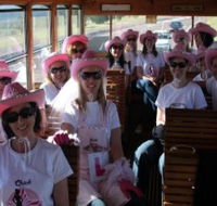 Newcastles Famous Tram - Attractions