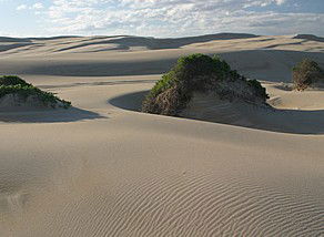 Port Stephens 4WD Tours - Attractions 1