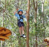 TreeTops Newcastle - Attractions