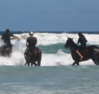 Pegasus Park Equestrian Centre - Attractions