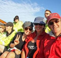 Byron Bay Whale Watching - Attractions