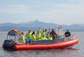 Byron Bay Whale Watching - Attractions 2