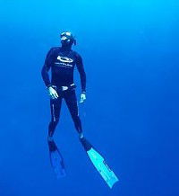 Byron Bay Dive Centre - Attractions 1