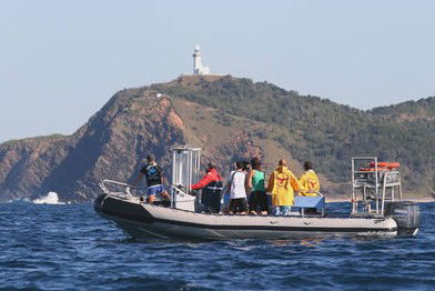 Byron Bay Dolphin Wildlife Tours - Attractions 1