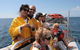Byron Bay Dolphin Wildlife Tours - thumb 2