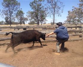 OutBackPackers - Attractions 3