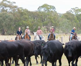 OutBackPackers - Attractions 2