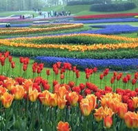 Botanica World Discoveries - Attractions