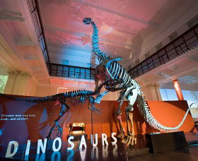Australian Museum Sydney City