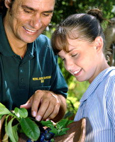 Aboriginal Heritage Tour - Attractions Las Vegas 1