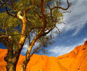 The Artery Aboriginal Art - Attractions 2